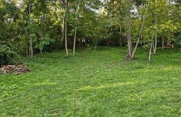 Teren Extravilan in Moreni 