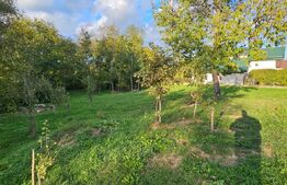 Teren Extravilan in Moreni 