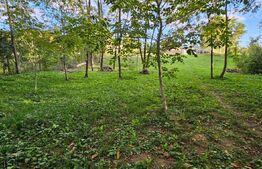 Teren Extravilan in Moreni 