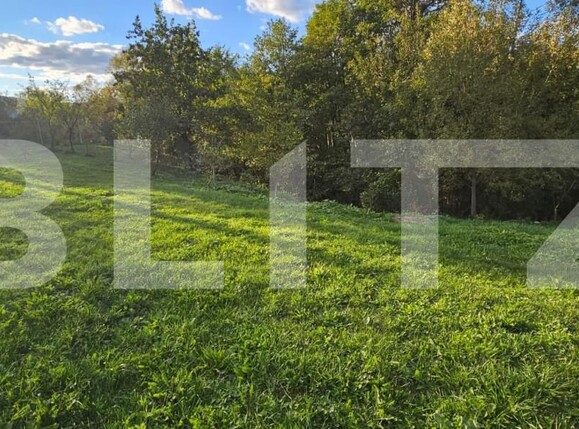 Teren de vânzare Moreni - 159647TV | BLITZ Târgoviște | Poza5