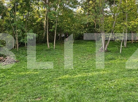 Teren de vânzare Moreni - 159647TV | BLITZ Târgoviște | Poza8