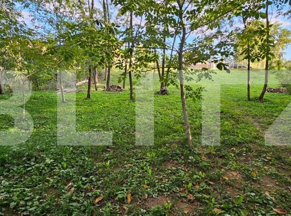 Teren de vânzare Moreni - 159647TV | BLITZ Târgoviște | Poza9