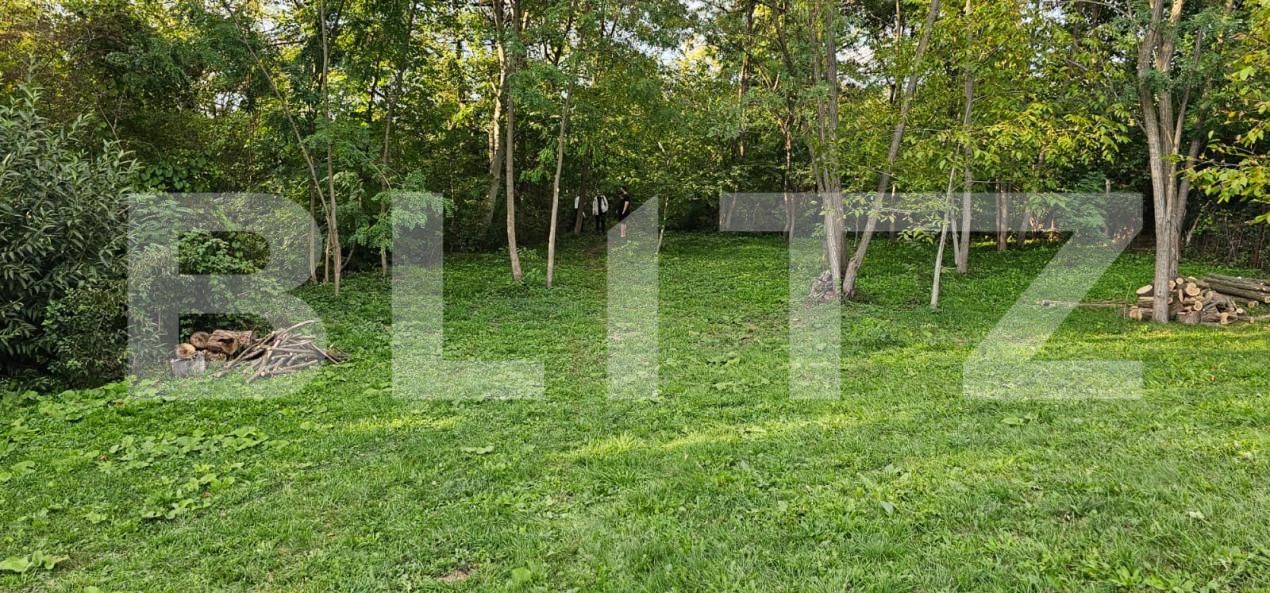 Teren de vânzare Moreni - 159647TV | BLITZ Târgoviște | Poza8