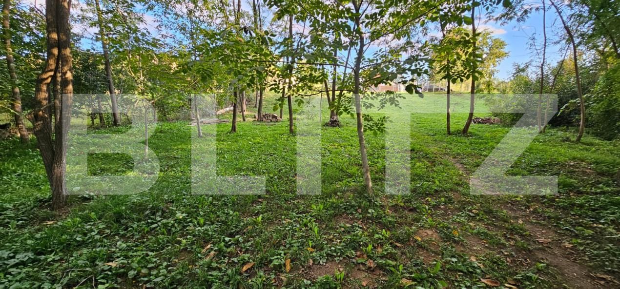 Teren de vânzare Moreni - 159647TV | BLITZ Târgoviște | Poza9