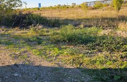 Teren 5000m2 Targoviste - ZONA INDUSTRIALA C.O.S. TGV