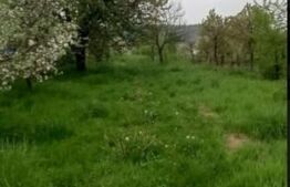 Casa Individuala in Voinesti