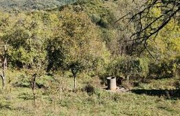 Teren cu priveliște superba , livadă și potențial căsuțe de vacanță