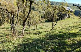 Teren cu priveliște superba , livadă și potențial căsuțe de vacanță