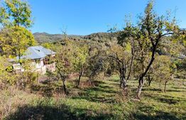 Teren cu priveliște superba , livadă și potențial căsuțe de vacanță