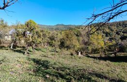 Teren cu priveliște superba , livadă și potențial căsuțe de vacanță