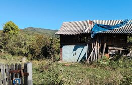 Teren cu priveliște superba , livadă și potențial căsuțe de vacanță