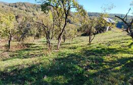 Teren cu priveliște superba , livadă și potențial căsuțe de vacanță