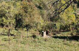 Teren cu priveliște superba , livadă și potențial căsuțe de vacanță