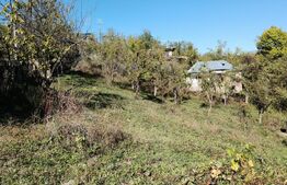 Teren cu priveliște superba , livadă și potențial căsuțe de vacanță