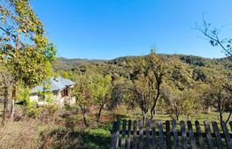 Teren cu priveliște superba , livadă și potențial căsuțe de vacanță