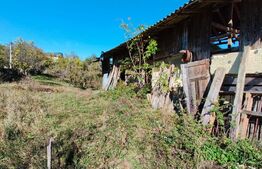 Teren cu priveliște superba , livadă și potențial căsuțe de vacanță