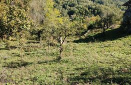 Teren cu priveliște superba , livadă și potențial căsuțe de vacanță