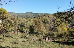 Teren cu priveliște superba , livadă și potențial căsuțe de vacanță