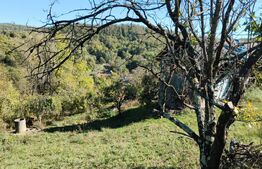 Teren cu priveliște superba , livadă și potențial căsuțe de vacanță