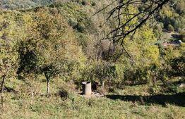 Teren cu priveliște superba , livadă și potențial căsuțe de vacanță