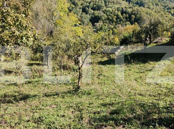 Teren de vânzare Exterior Nord - 160024TV | BLITZ Târgoviște | Poza12