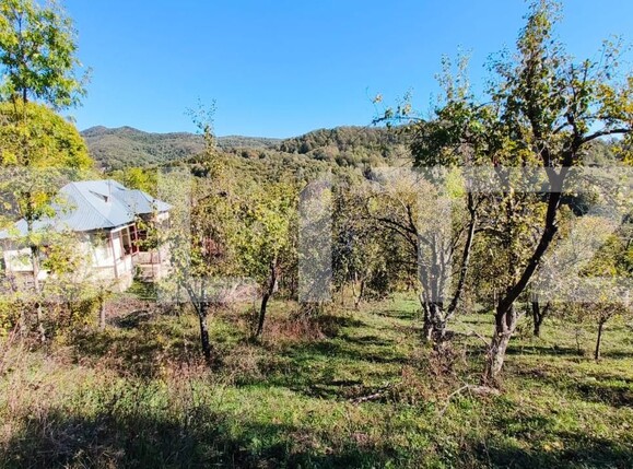 Teren de vânzare Exterior Nord - 160024TV | BLITZ Târgoviște | Poza17