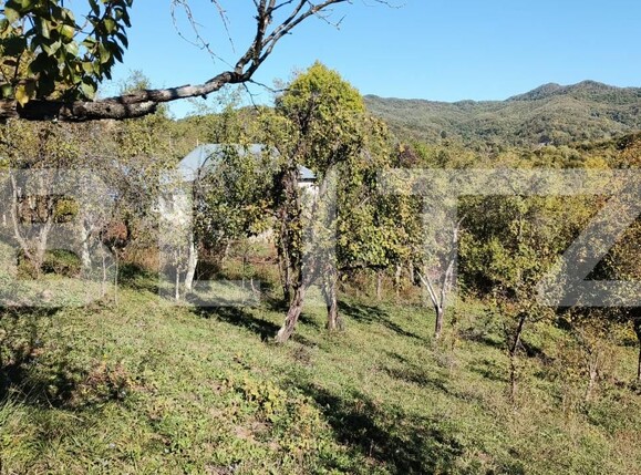 Teren de vânzare Exterior Nord - 160024TV | BLITZ Târgoviște | Poza6