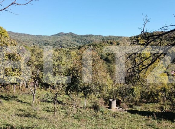 Teren de vânzare Exterior Nord - 160024TV | BLITZ Târgoviște | Poza3