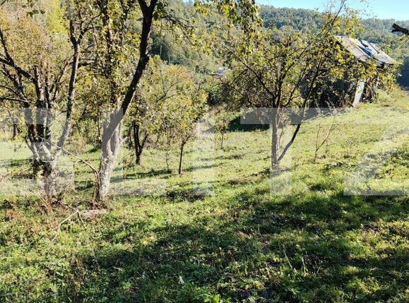 Teren de vânzare Exterior Nord - 160024TV | BLITZ Târgoviște | Poza18