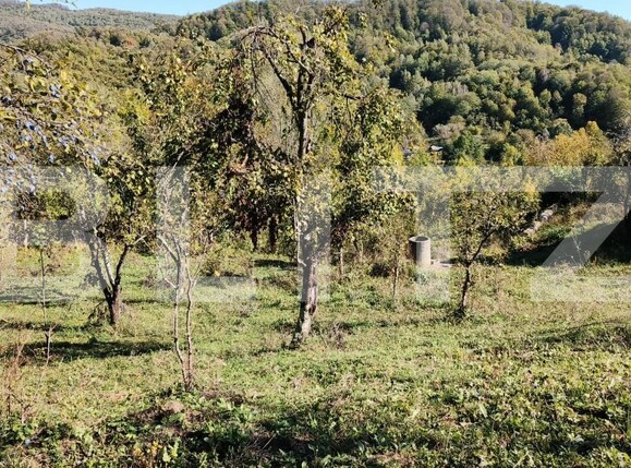 Teren de vânzare Exterior Nord - 160024TV | BLITZ Târgoviște | Poza16