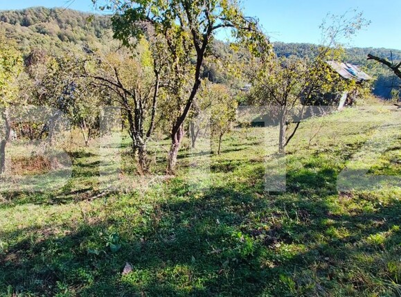 Teren de vânzare Exterior Nord - 160024TV | BLITZ Târgoviște | Poza15