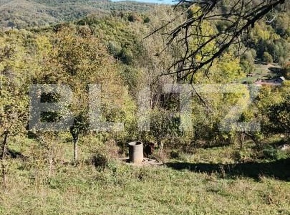 Teren de vânzare Exterior Nord - 160024TV | BLITZ Târgoviște | Poza7