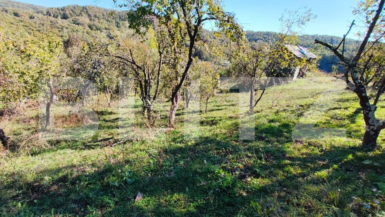 Teren de vânzare Exterior Nord - 160024TV | BLITZ Târgoviște | Poza15