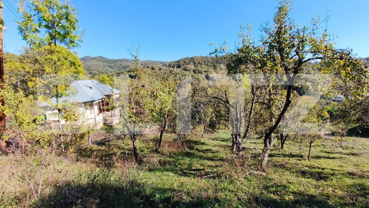 Teren de vânzare Exterior Nord - 160024TV | BLITZ Târgoviște | Poza17