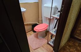 Apartament cu 3 Camere si 2 Bai in Tragoviste, zona Micro 11