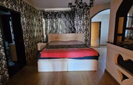 Apartament in casa in Pucioasa cu finisaje de lux si curte generoasa!