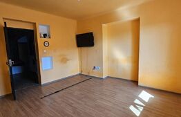 Apartament in casa in Pucioasa cu finisaje de lux si curte generoasa!