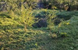 Casa de vanzare 151mp 918mp teren Razvad