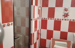 Casa de vanzare 151mp 918mp teren Razvad