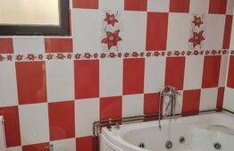 Casa de vanzare 151mp 918mp teren Razvad