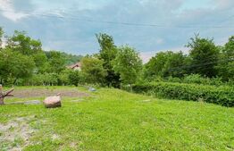 Casa in Moreni (exterior Vest)  si 2000 mp de teren