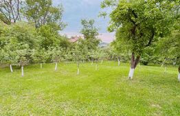 Casa in Moreni (exterior Vest)  si 2000 mp de teren