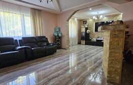 Oferta Casa in Valea Voievozilor 310mp plus 1300mp teren