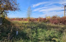 Teren in Doicesti 2000 mp, intravilan