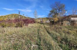 Teren in Doicesti 2000 mp, intravilan