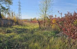 Teren in Doicesti 2000 mp, intravilan