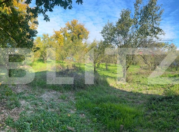 Casa de vânzare 7 camere Sud-Vest - 160982CV | BLITZ Târgoviște | Poza3