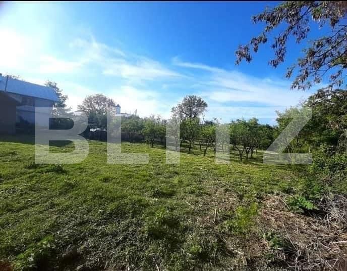 Casa de vânzare 7 camere Sud-Vest - 160982CV | BLITZ Târgoviște | Poza4