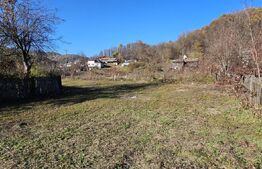 Casa de vanzare, 1392 mp de teren, zona-Visinesti