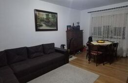 Apartament cu 2 camere Ultracentral ING Bank 